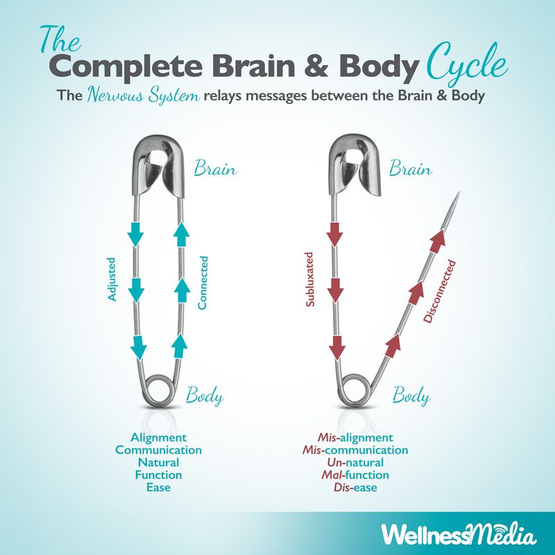 The Safety Pin Cycle Spring Chiropractor Chiropractic Spring